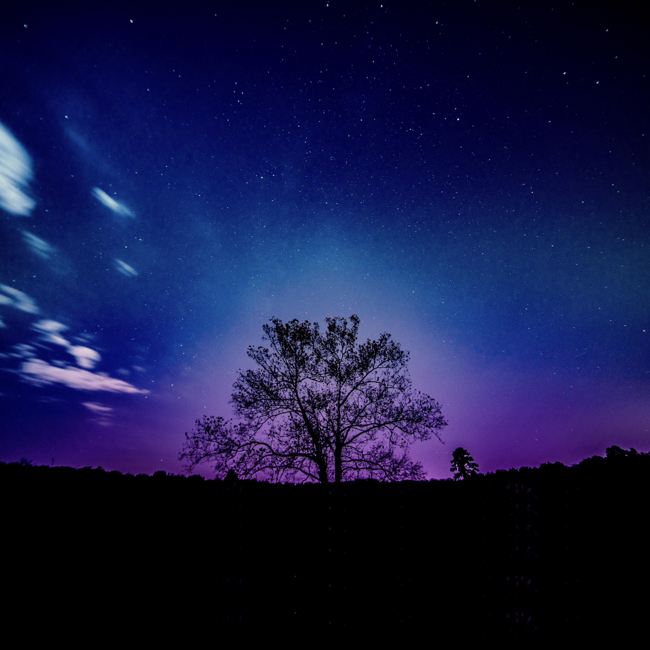 Tree, Galaxy, Sky, Silhouette, Wallpaper - Galaxy Wallpaper For Ipad - HD Wallpaper 