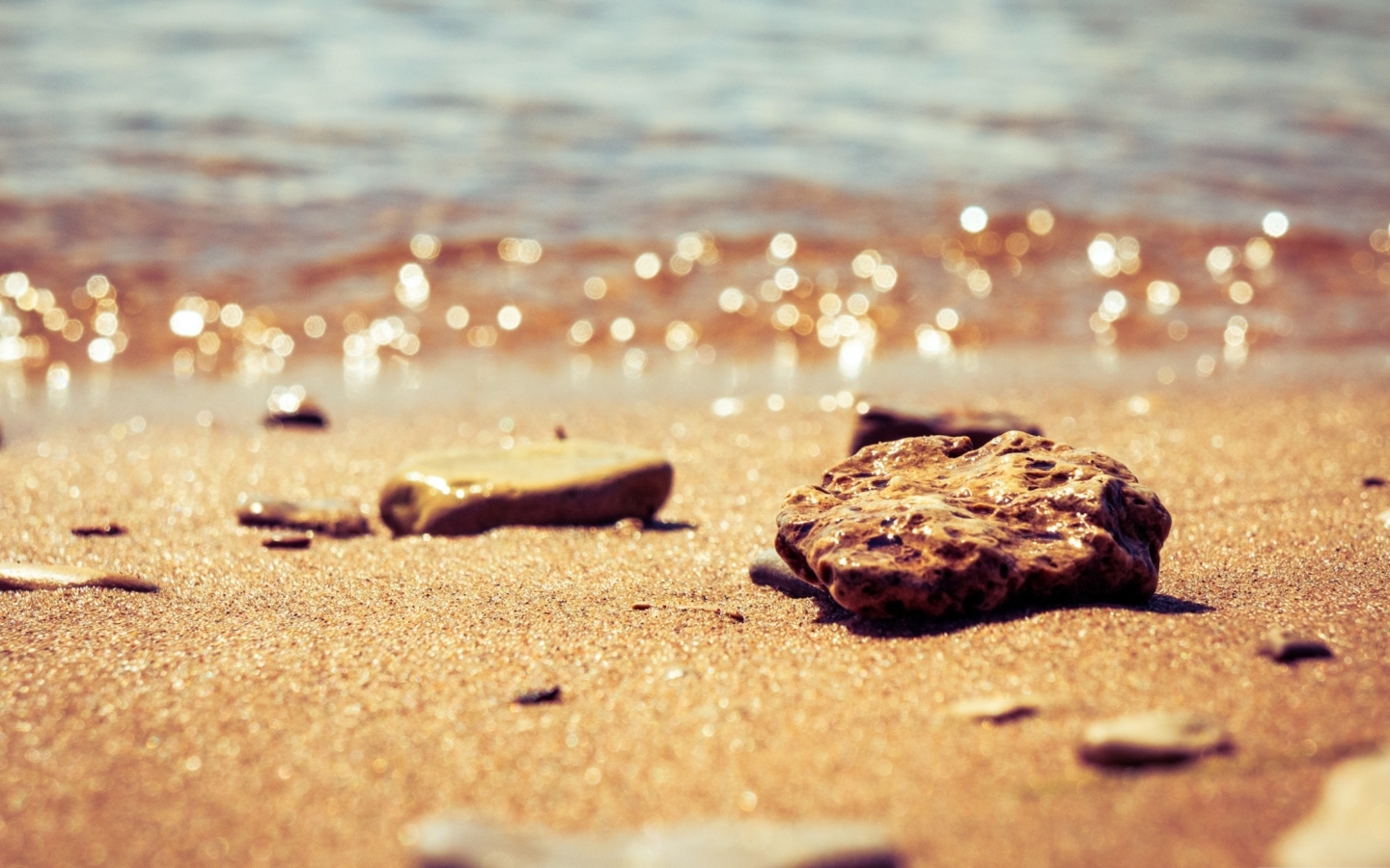 Snail Eating Cucumber Meme 1440x900 Wallpaper teahub.io