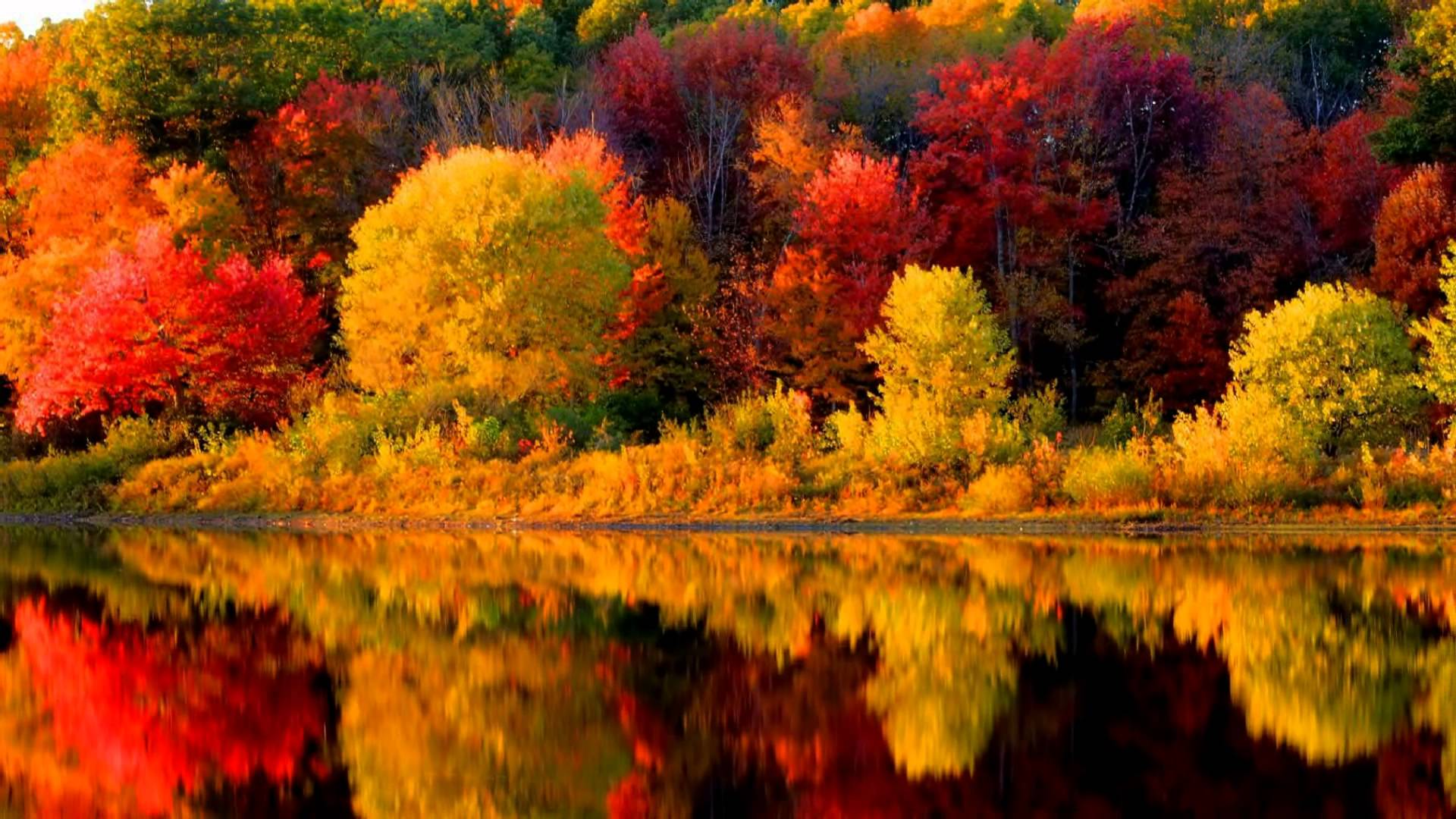 Fall Foliage 2017 New England - HD Wallpaper 