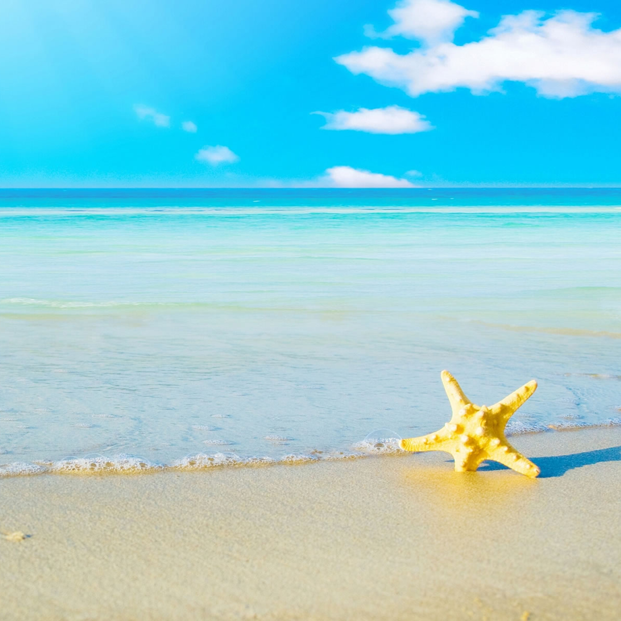 Ipad Retina Hd Wallpaper Beach And A Starfish - Summer Backgrounds - HD Wallpaper 