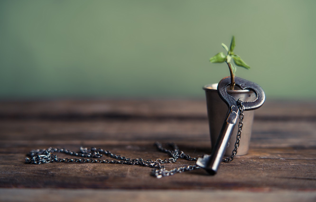 Photo Wallpaper Key, Love, Heart, Key, Romantic - Still God Will Fight For You - HD Wallpaper 