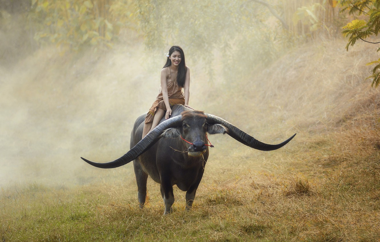 Photo Wallpaper Girl, Mood, Thailand, Asian, Rider, - Buffalo Thailand - HD Wallpaper 
