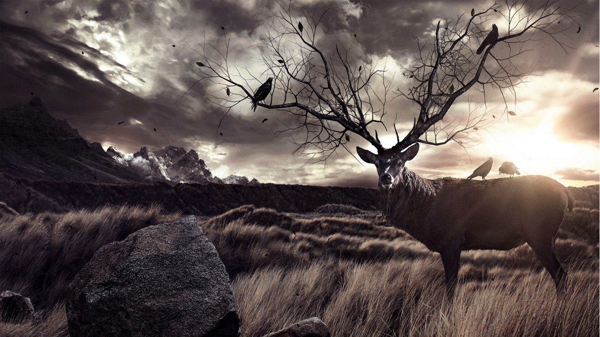 1920x1080, 737373 Hd Deer Images, Wallpapers For Desktop, - Hunting Wallpaper Hd - HD Wallpaper 