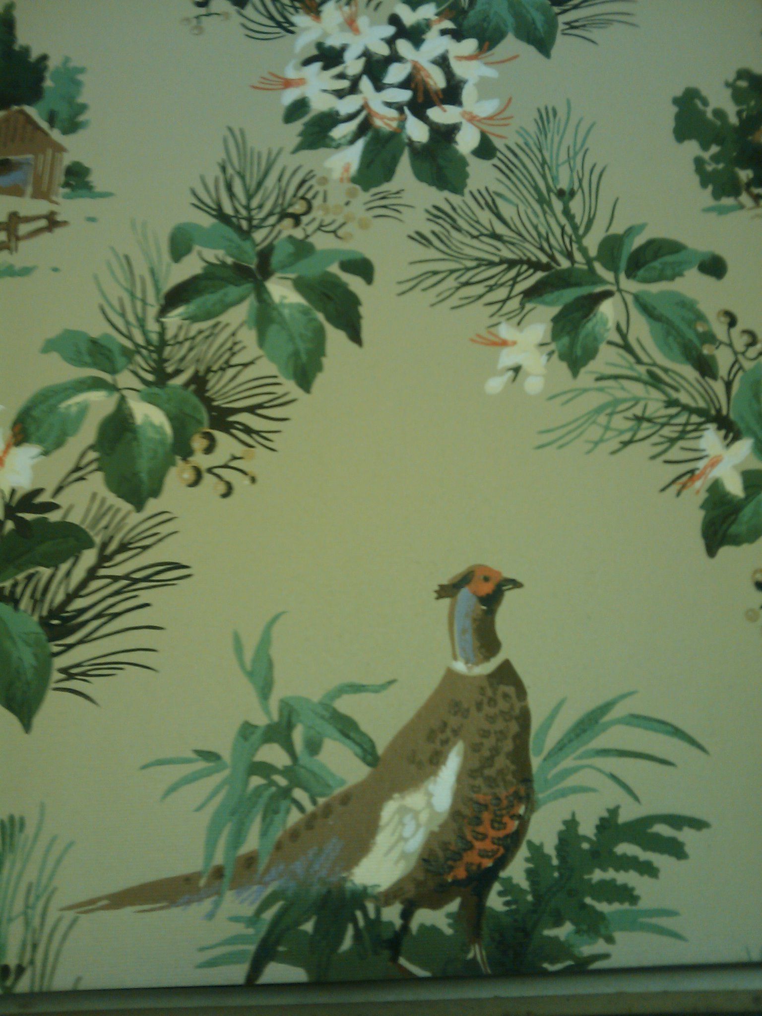 Pheasant Roll - HD Wallpaper 