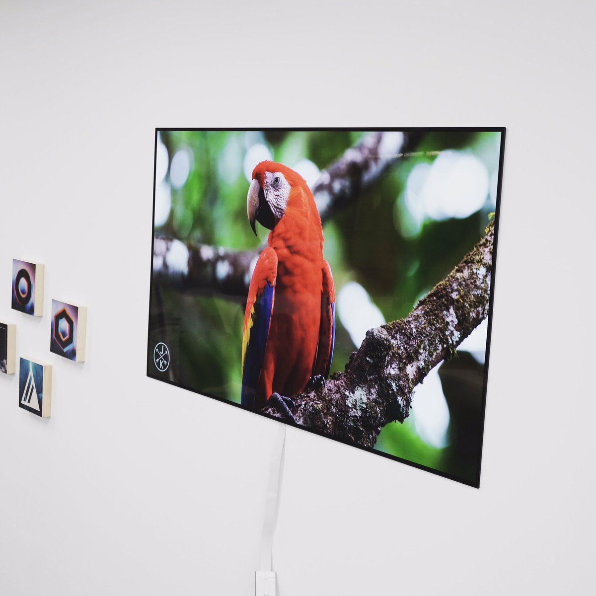 Mkbhd Thin Tv - HD Wallpaper 