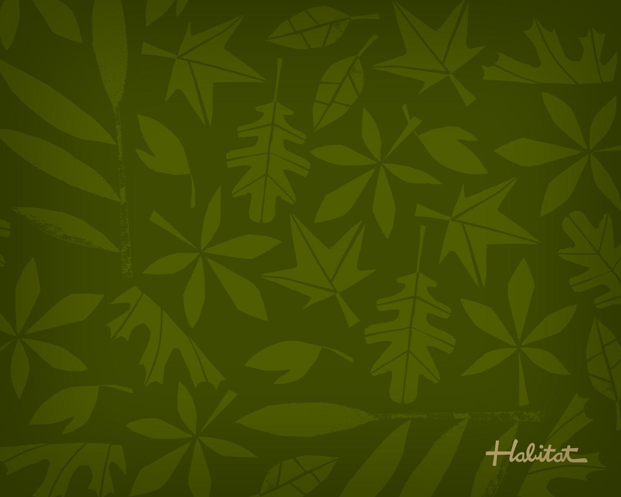 Awesome Habitat Wallpapers, Shawna Fullerton - HD Wallpaper 