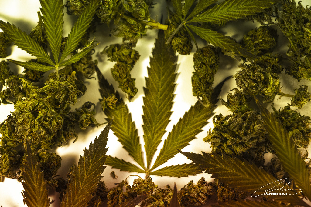 Cannabis Wallpapersç - HD Wallpaper 