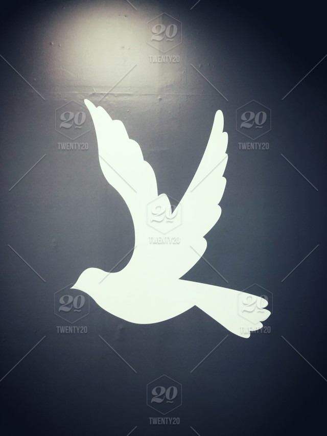 Flying Birds Wallpaper - HD Wallpaper 