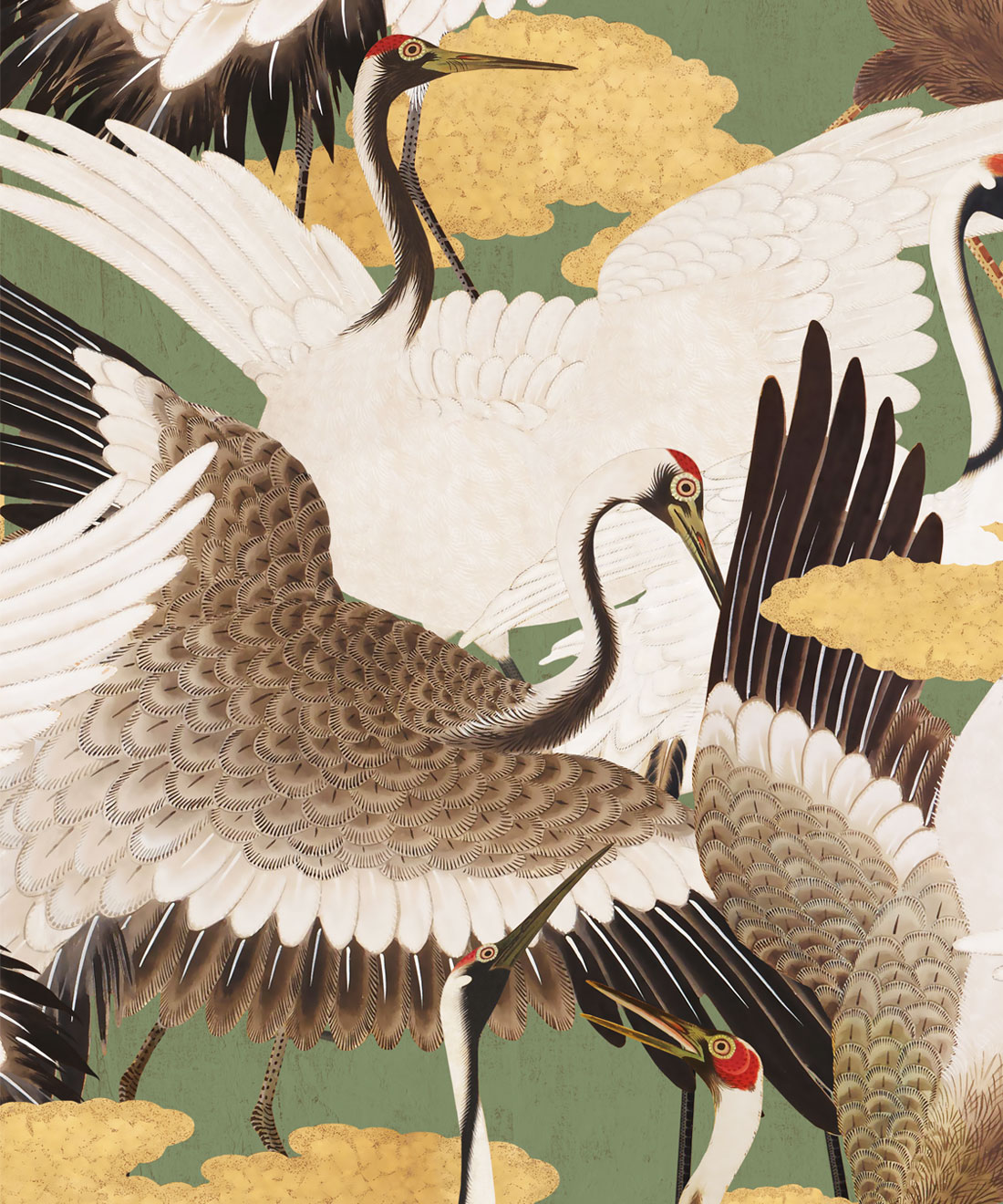 Japanese Crane - HD Wallpaper 