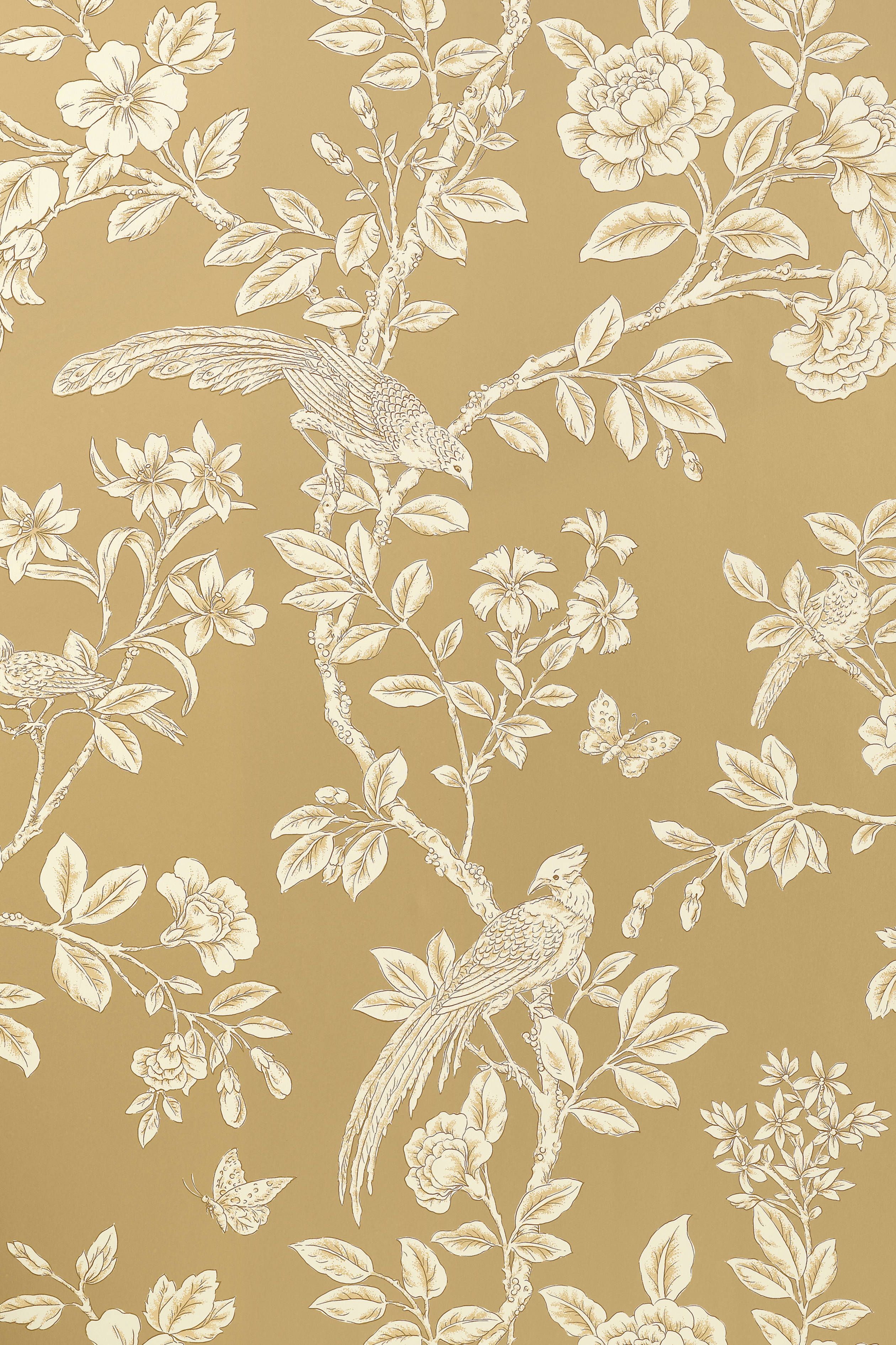 Thibaut Soraya - HD Wallpaper 