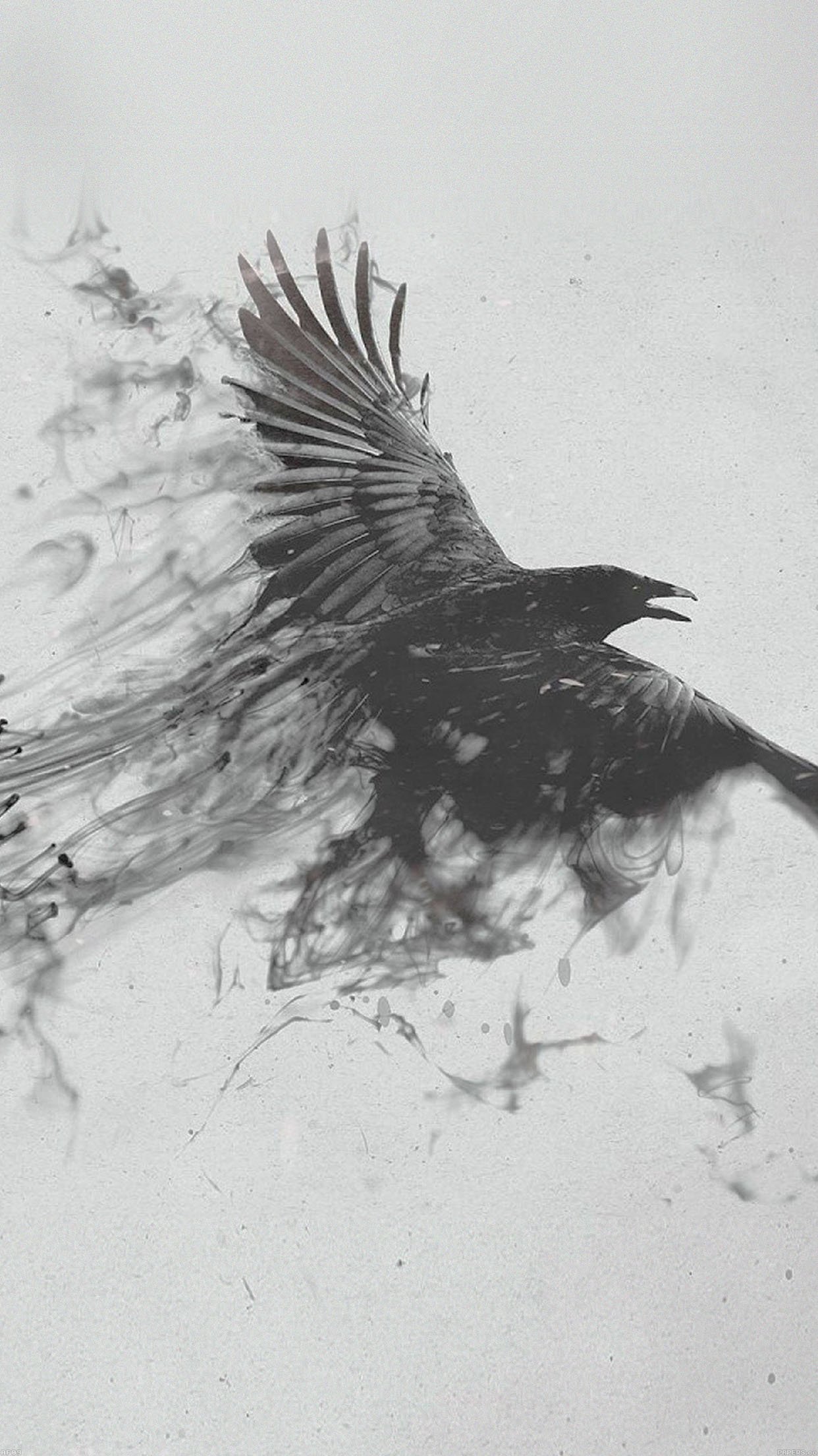 Smokey Raven - HD Wallpaper 