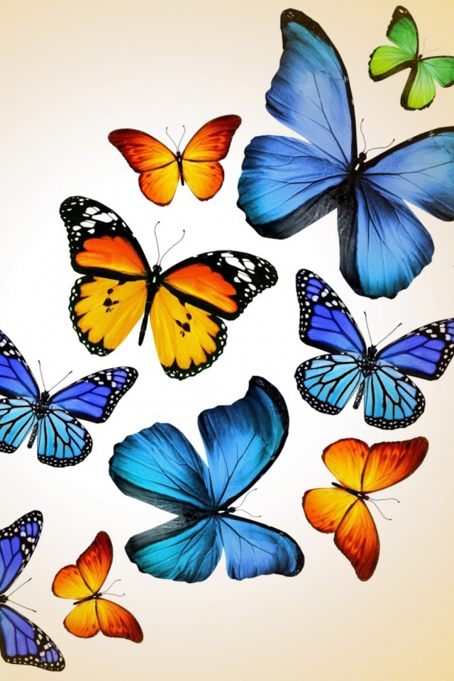 Butterflies Mobile Wallpaper Hd - HD Wallpaper 