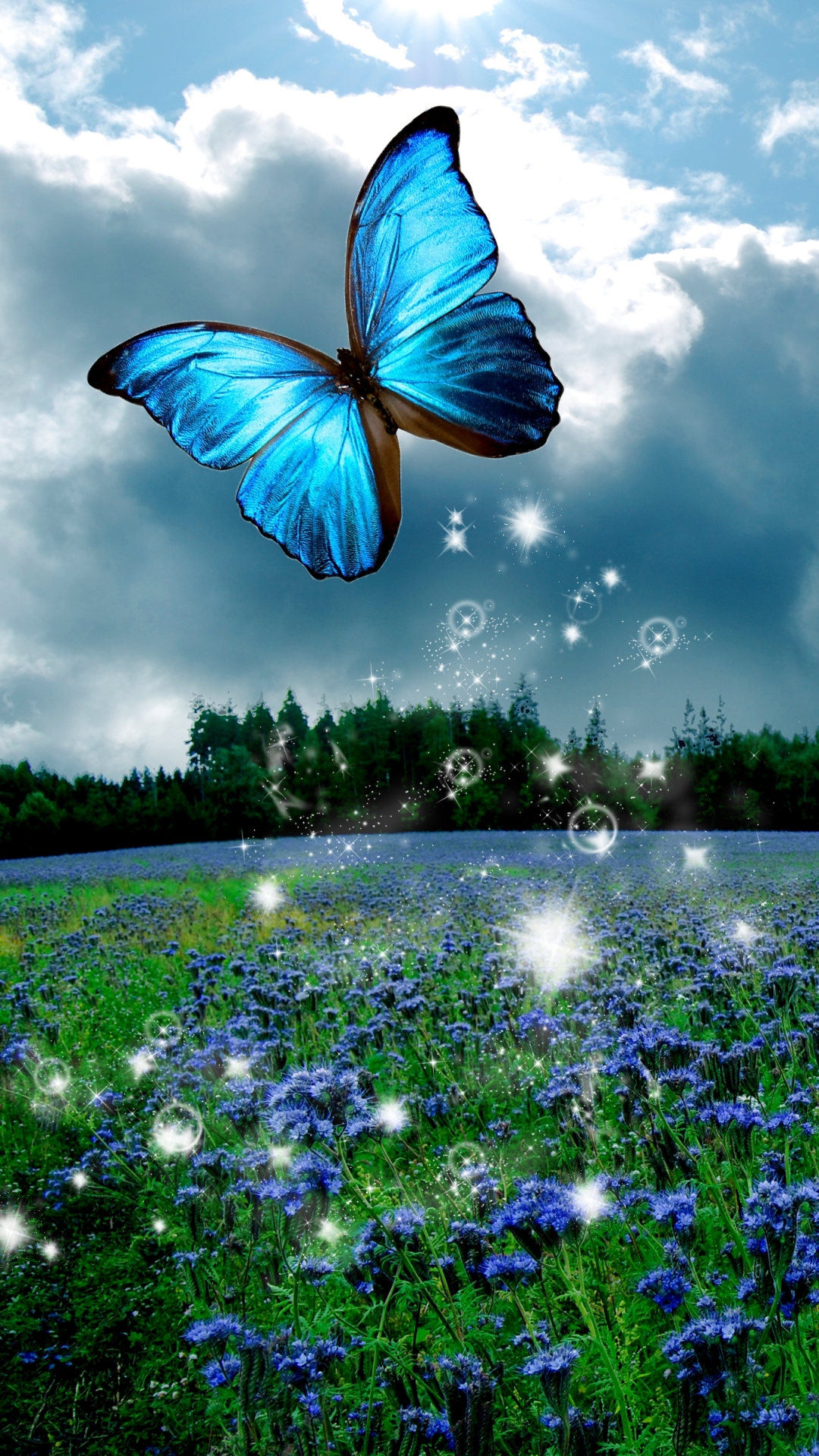 Blue Butterfly In Nature - HD Wallpaper 