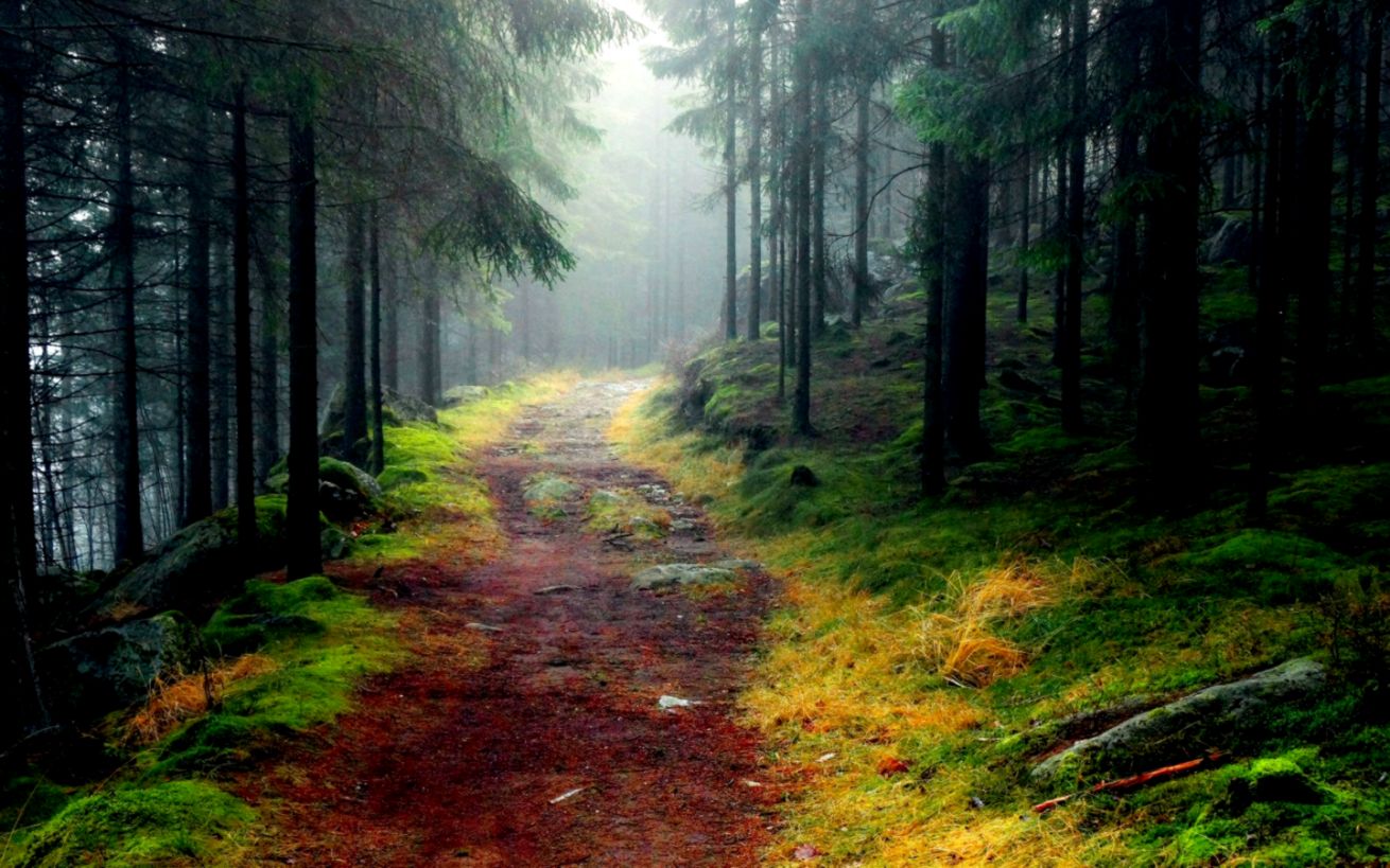 Hd Nature Wallpaper Pack Download Hd Wallpapers - Nature Wallpaper Pack - 1310x819 Wallpaper Hd Nature Wallpaper Pack Download Hd Wallpapers - Nature Wallpaper Pack - 1310x819 Wallpaper