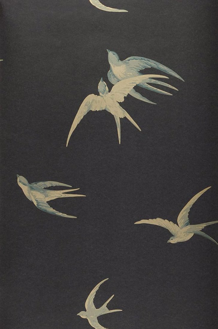 Sanderson Swallows - HD Wallpaper 