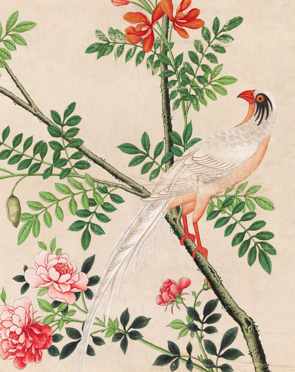 White Pheasant Chinese Scroll Painting - HD Wallpaper 