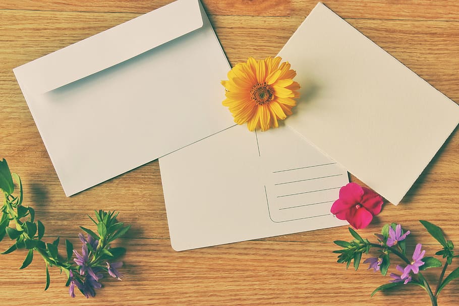 Yellow Petaled Flower On White Paper, Postcard, Envelope, - Envelope White Hd - HD Wallpaper 