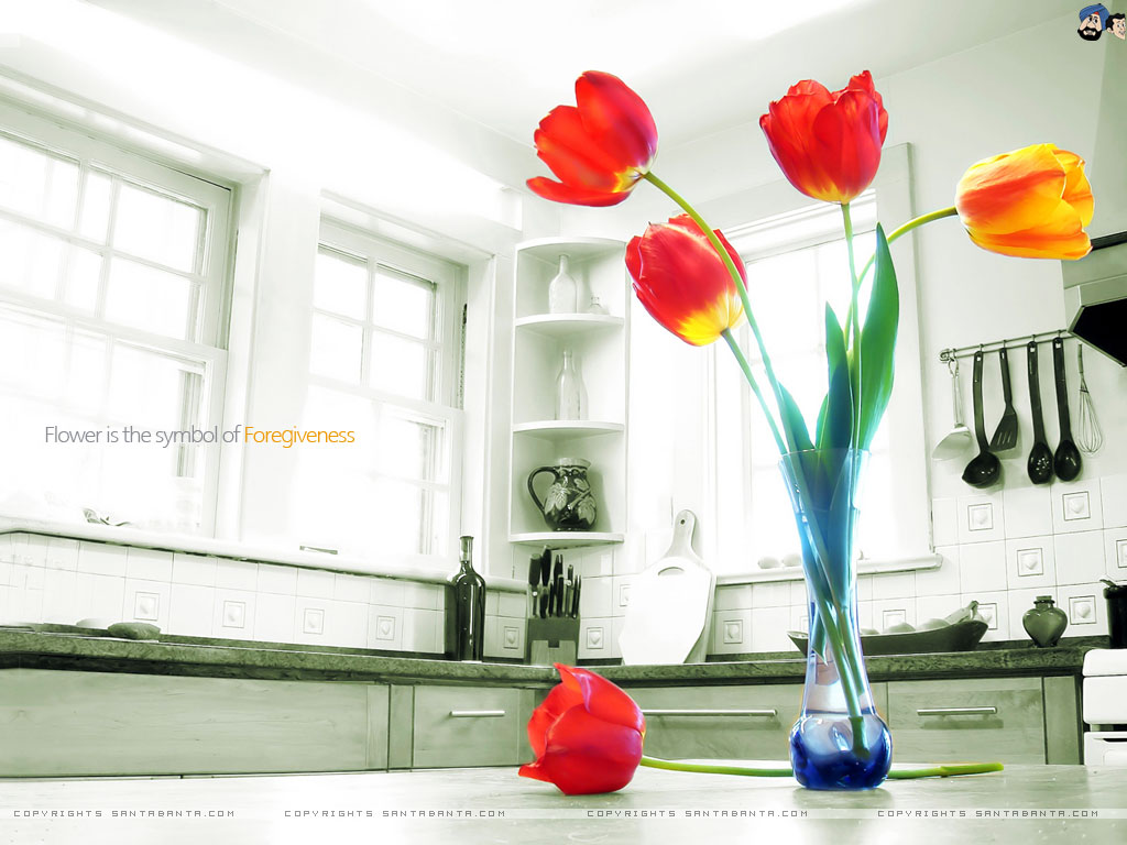 Flowers - Wallpaper - HD Wallpaper 