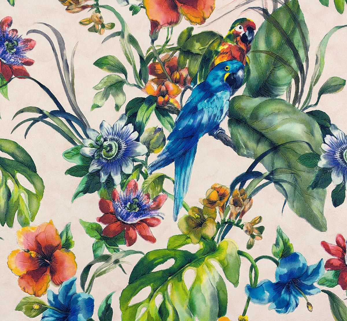 Bird Exotic Wallpaper Uk - HD Wallpaper 