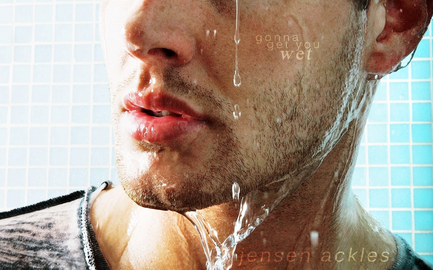 Jensen - HD Wallpaper 