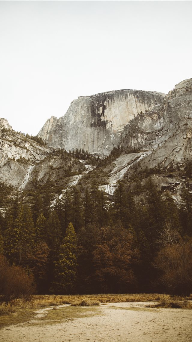 Pine Trees Beside Mountain Iphone Wallpaper - Yosemite National Park, Half Dome - HD Wallpaper 