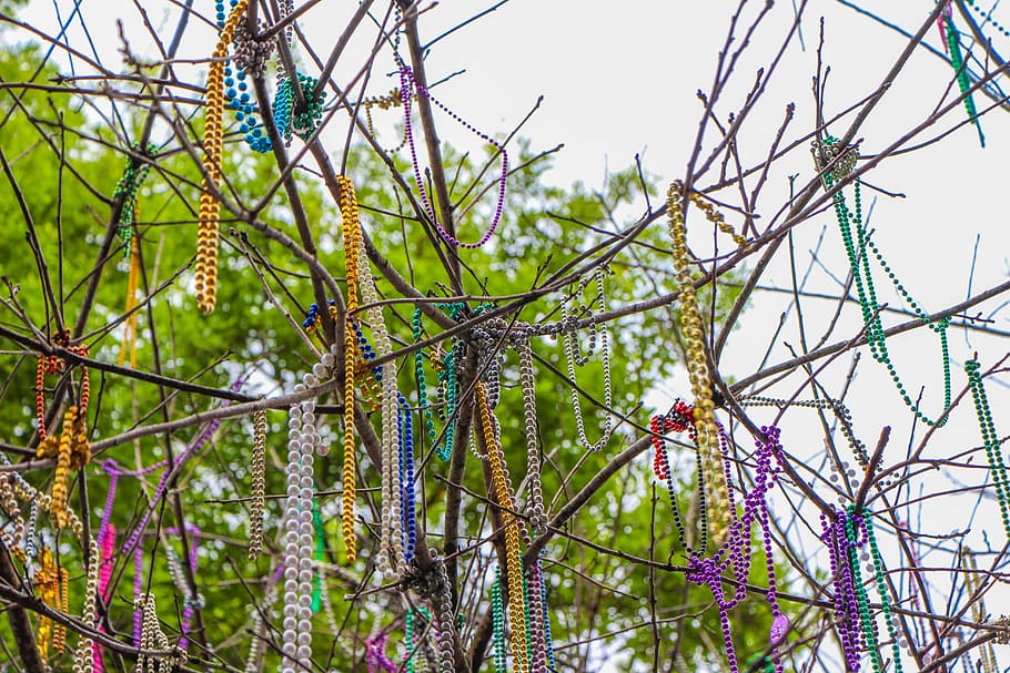 Hanging Assorted-color Bead Necklaces On Twig, Mardi - New Orleans Korálky - HD Wallpaper 