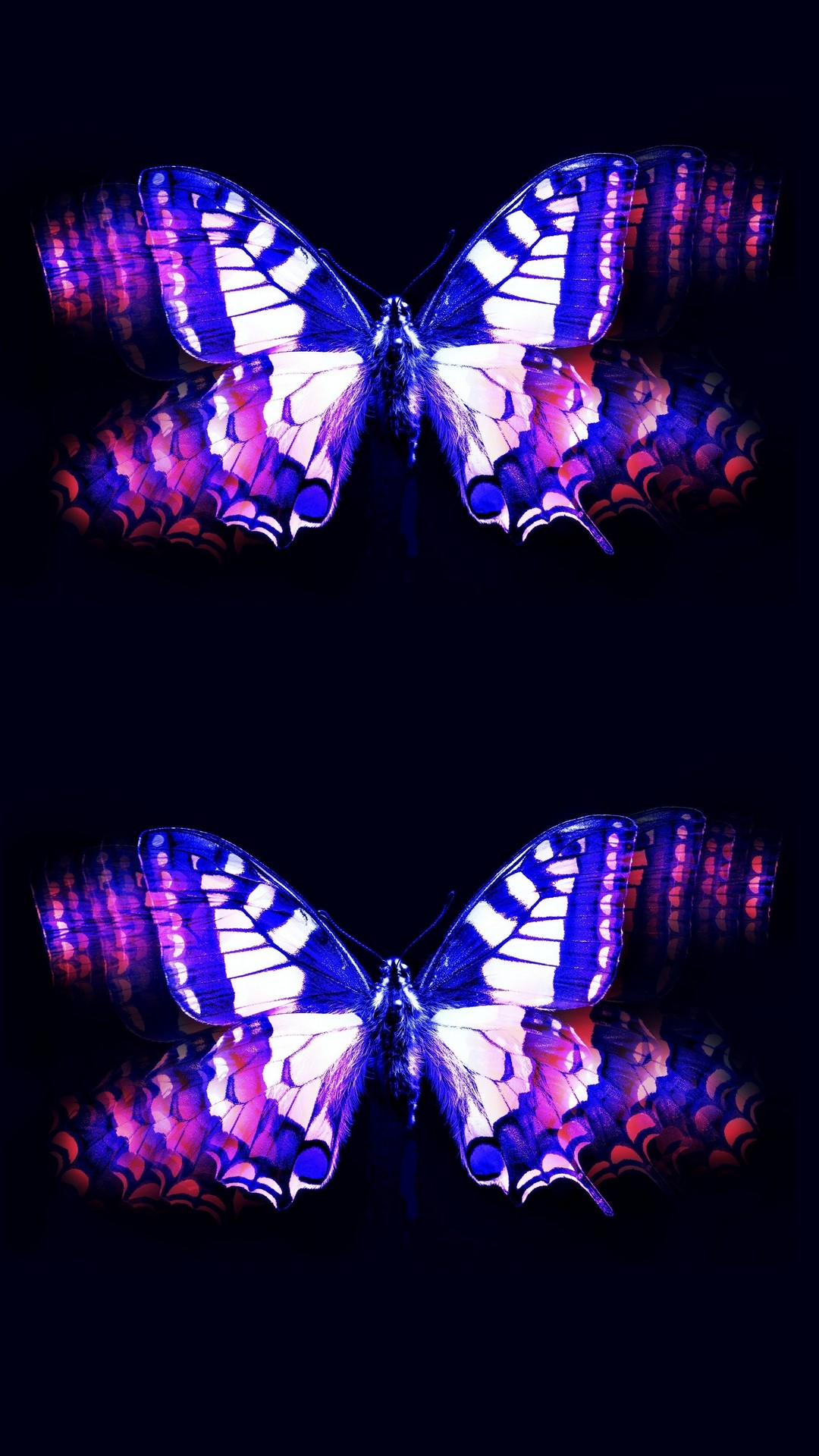 Wallpapers Phone Purple Butterfly With Hd Resolution - Butterfly Black Background Hd - HD Wallpaper 