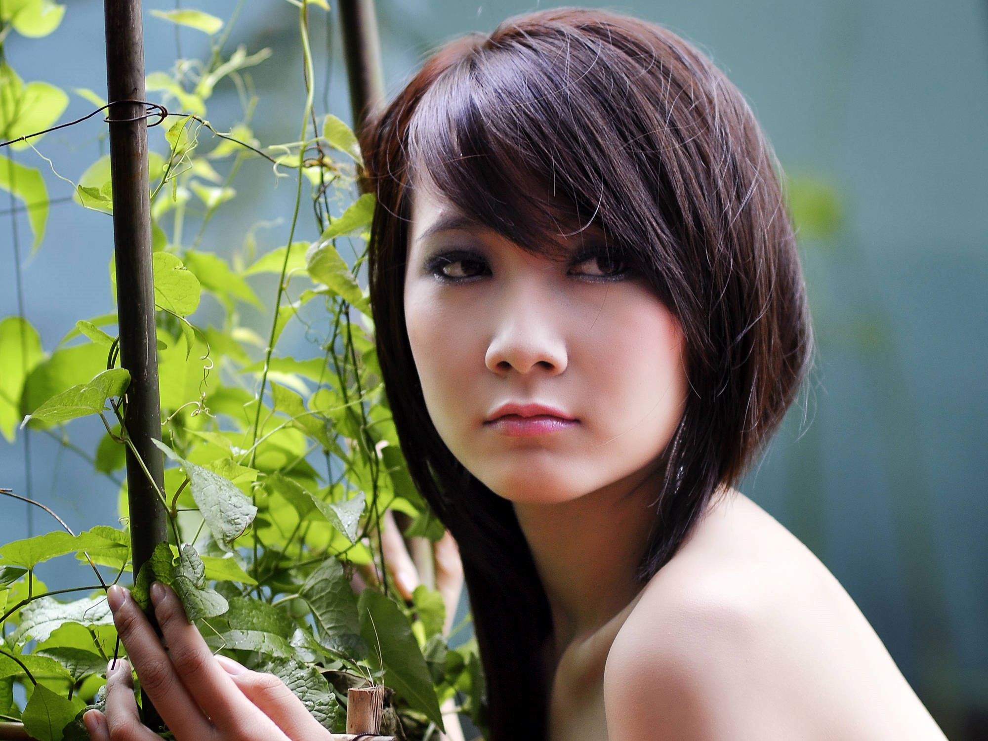 Chinese Girl - HD Wallpaper 