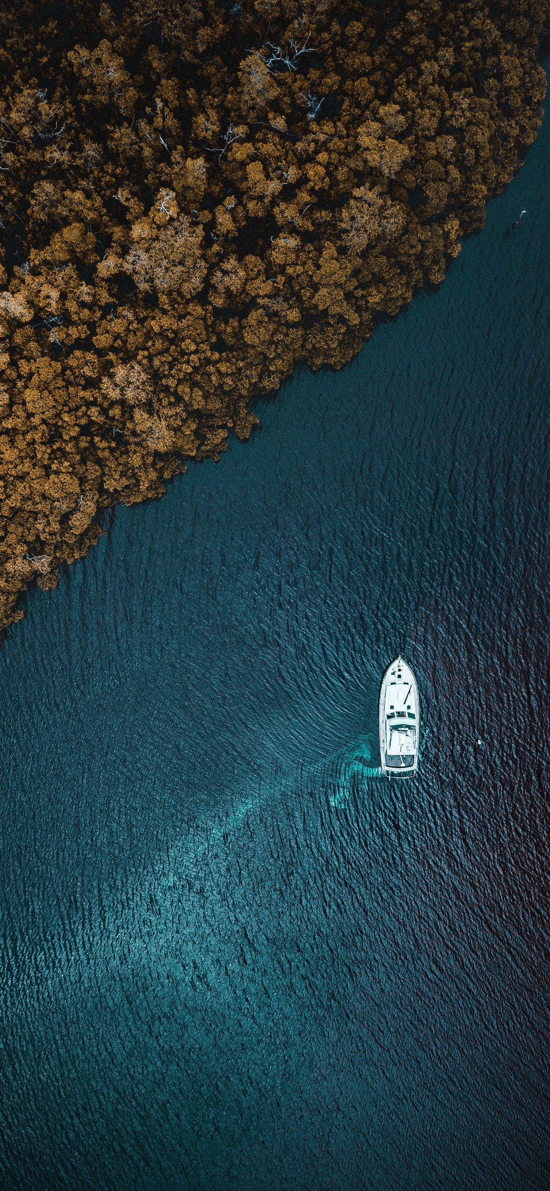 Aerial View, Sea, Forest, Boat, Wallpaper - Beach Top View Hd - HD Wallpaper 
