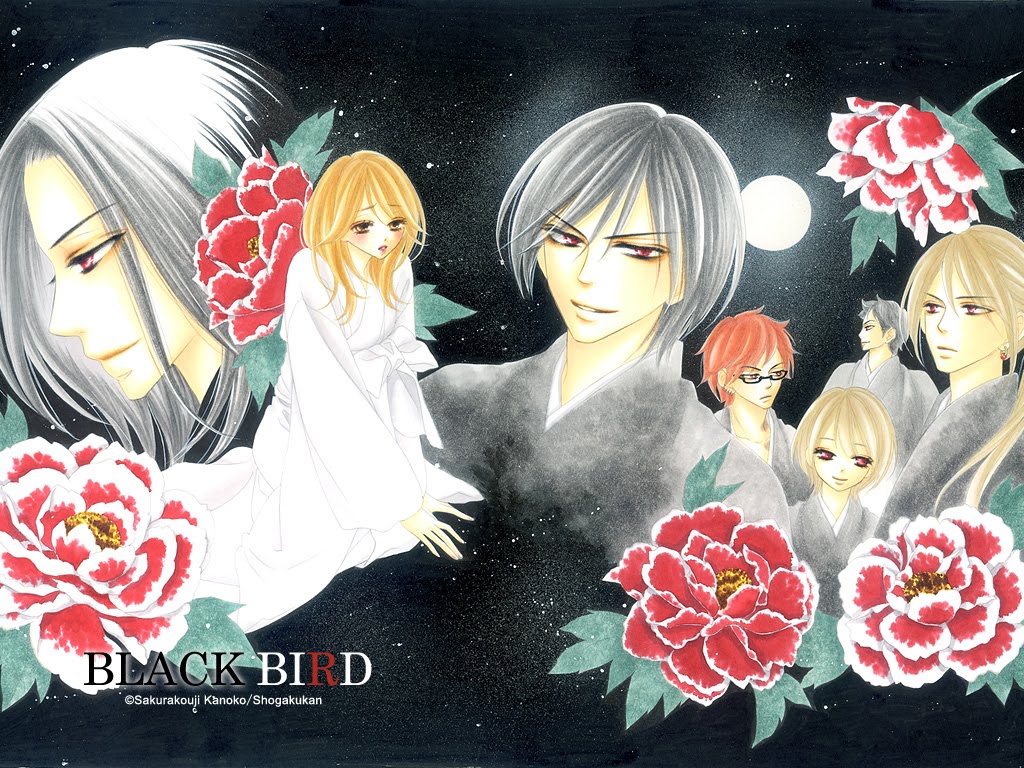 Black Bird Manga Art - HD Wallpaper 