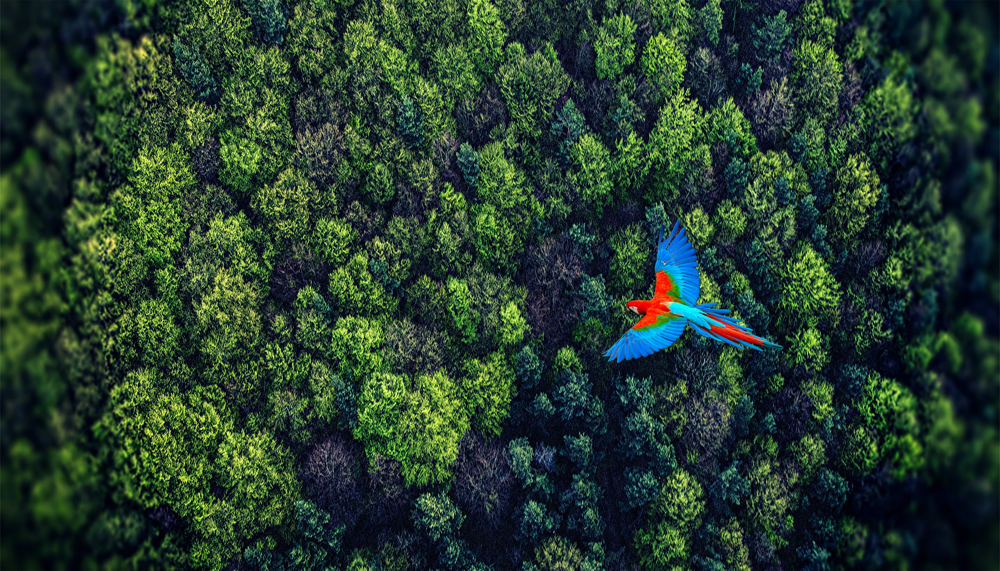 Flight - HD Wallpaper 