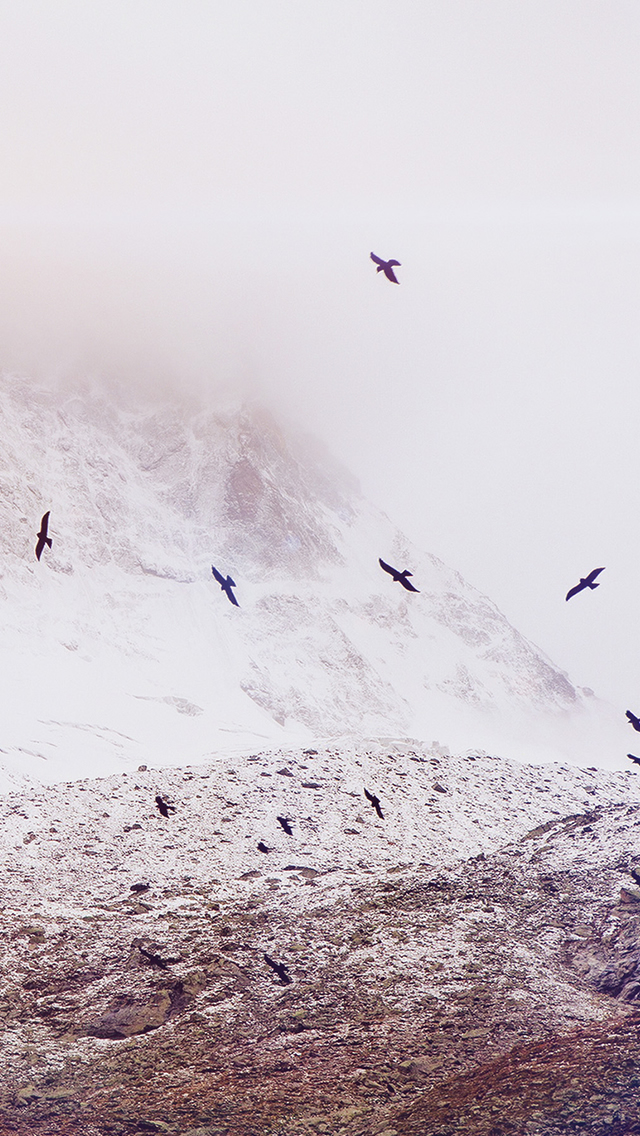 Nature Winter Snowy Mountains Flying Birds Iphone Wallpaper - Snowy Mountains Flying Birds - HD Wallpaper 