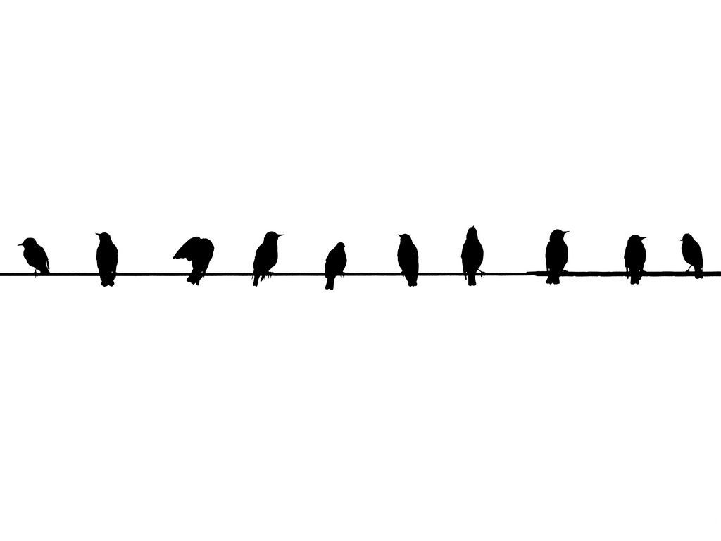 Backgrounds Black And White Birds - 1024x768 Wallpaper Backgrounds Black And White Birds - 1024x768 Wallpaper