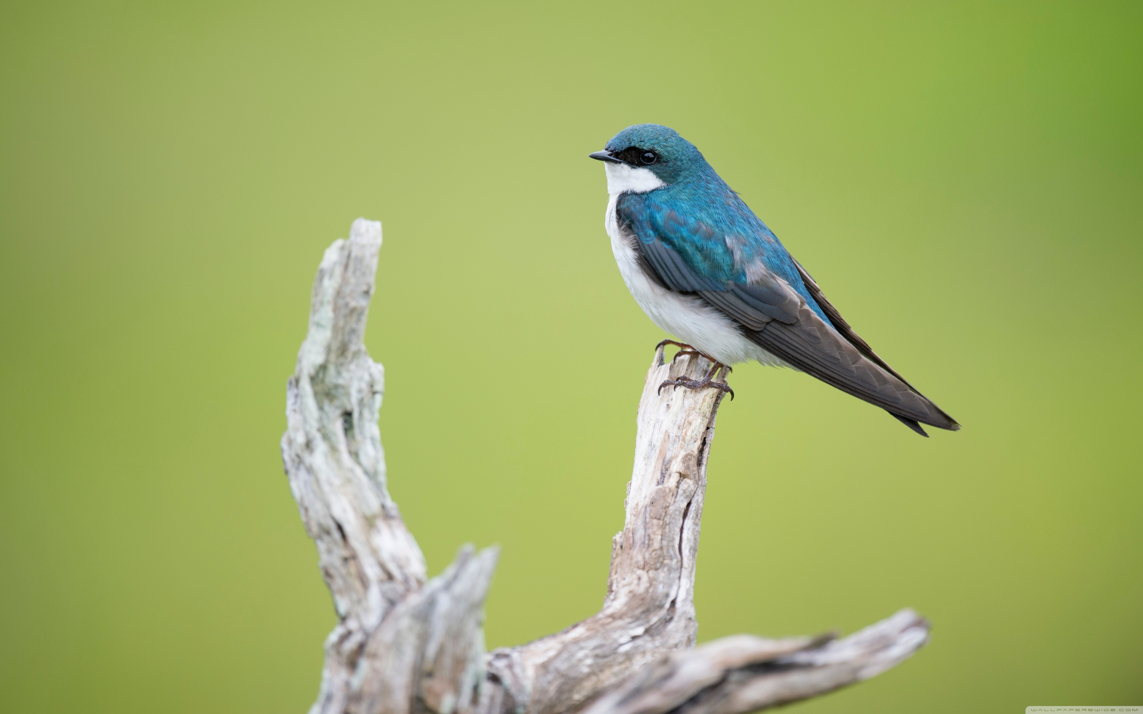 Relationship Loneliness - HD Wallpaper 