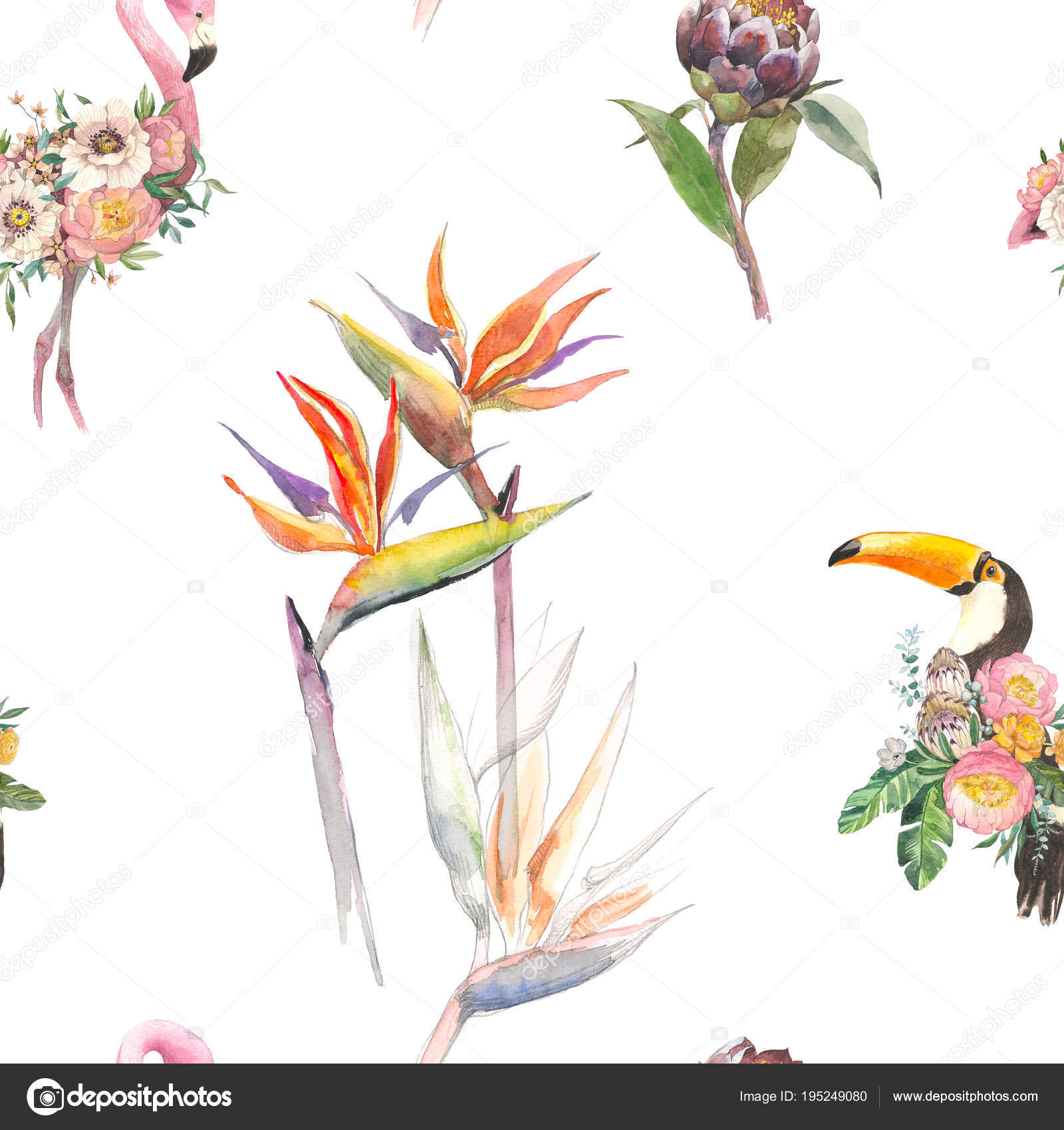 Bird - HD Wallpaper 