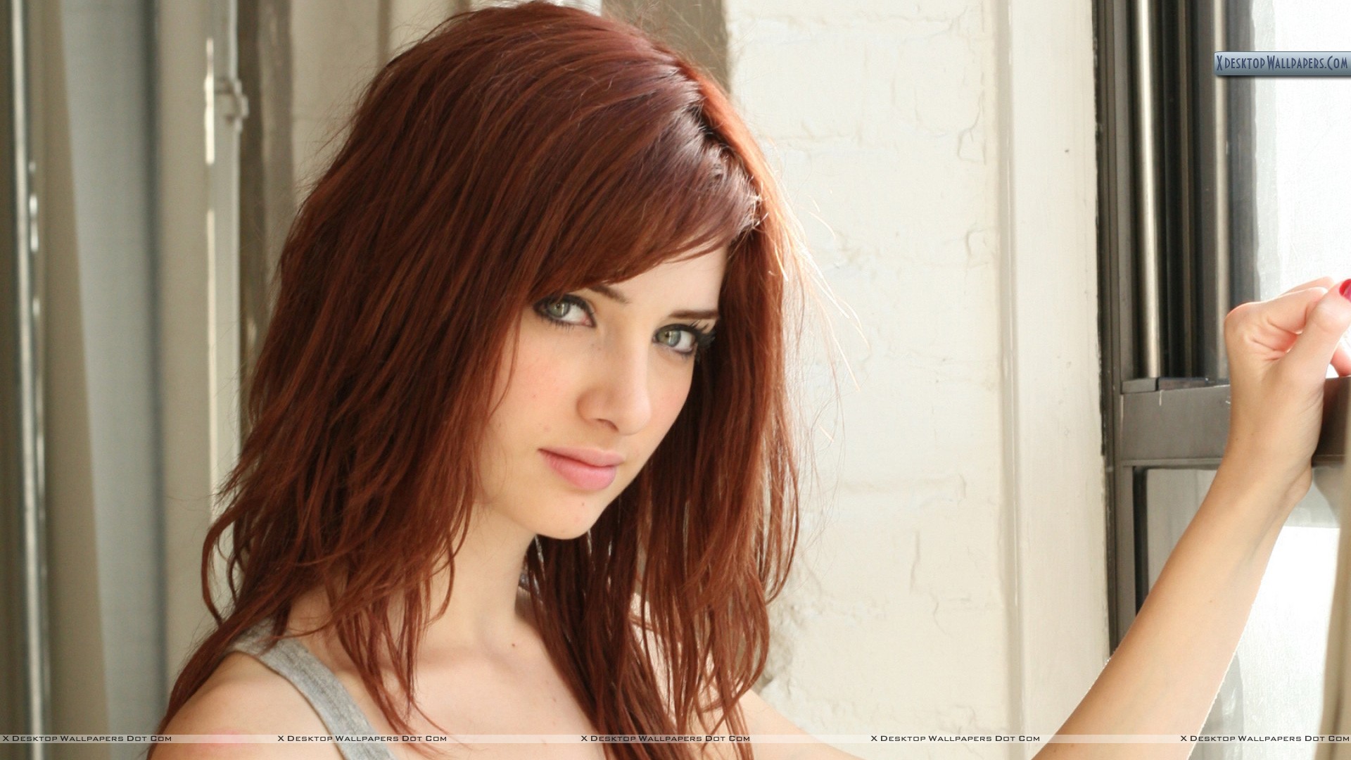 Susan Coffey Hd - HD Wallpaper 
