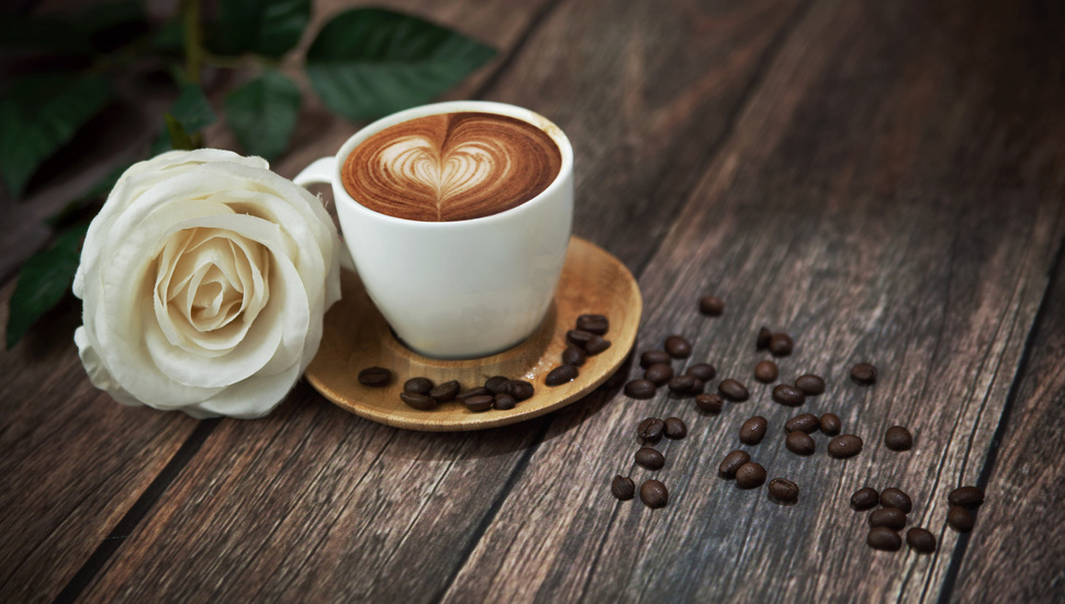 Rose, Foam, Drink, White Rose, Mug, Coffee, Flower - White Roses And Coffee - HD Wallpaper 