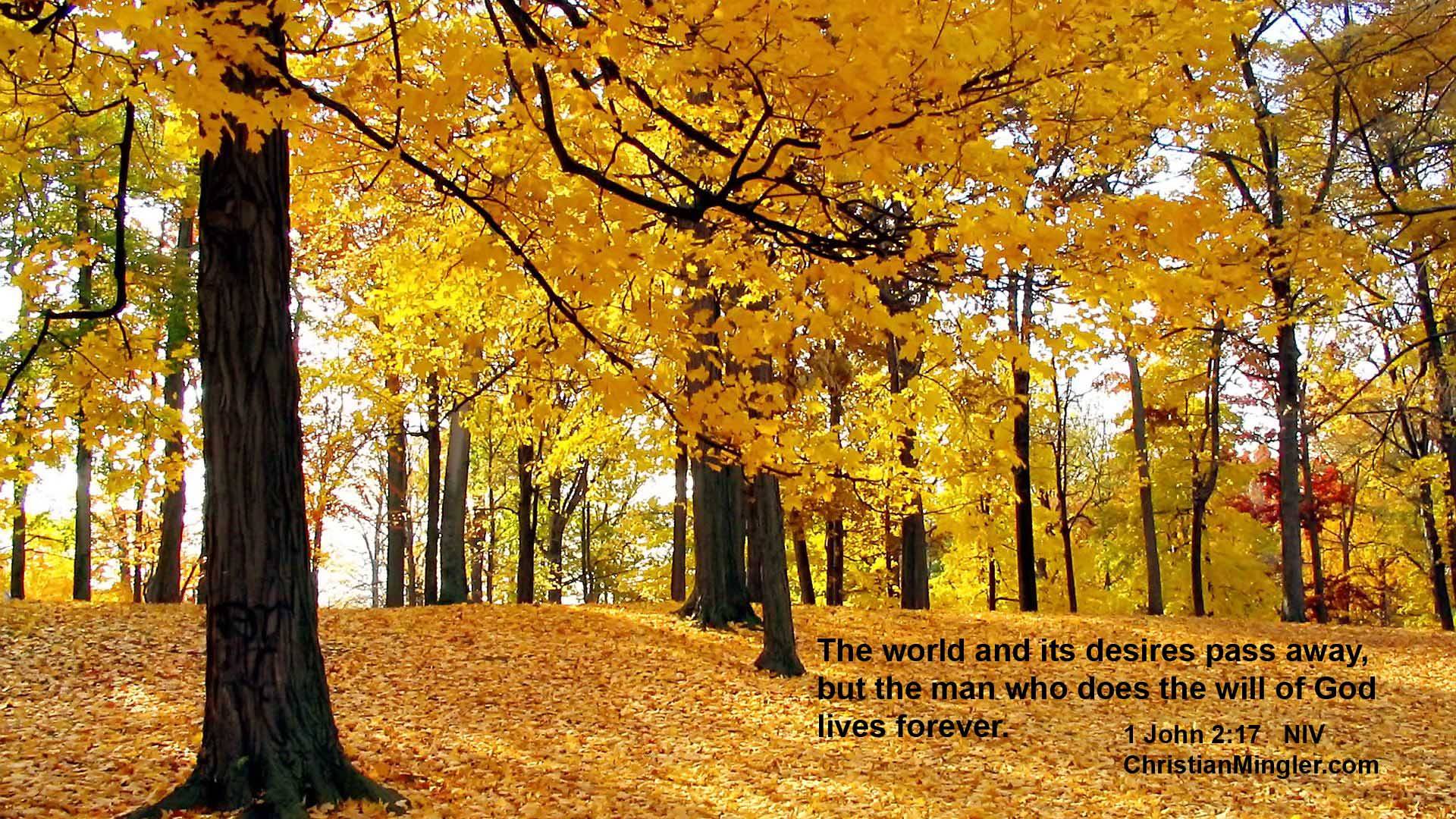 Mind Blowing Anchor Christian Desktop Wallpaper Te
religious - High Resolution Trees Background - HD Wallpaper 