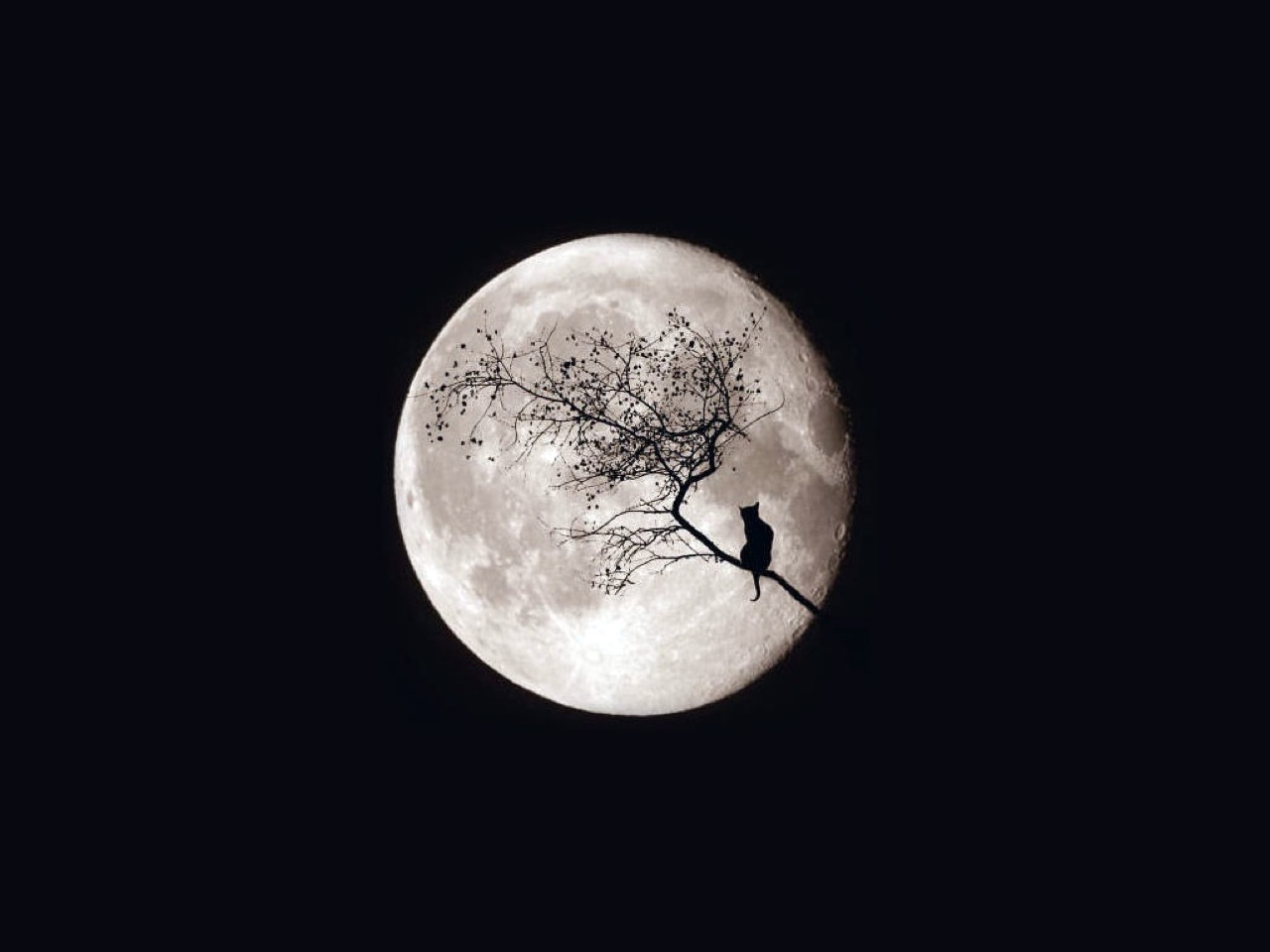 Moon Background - HD Wallpaper 