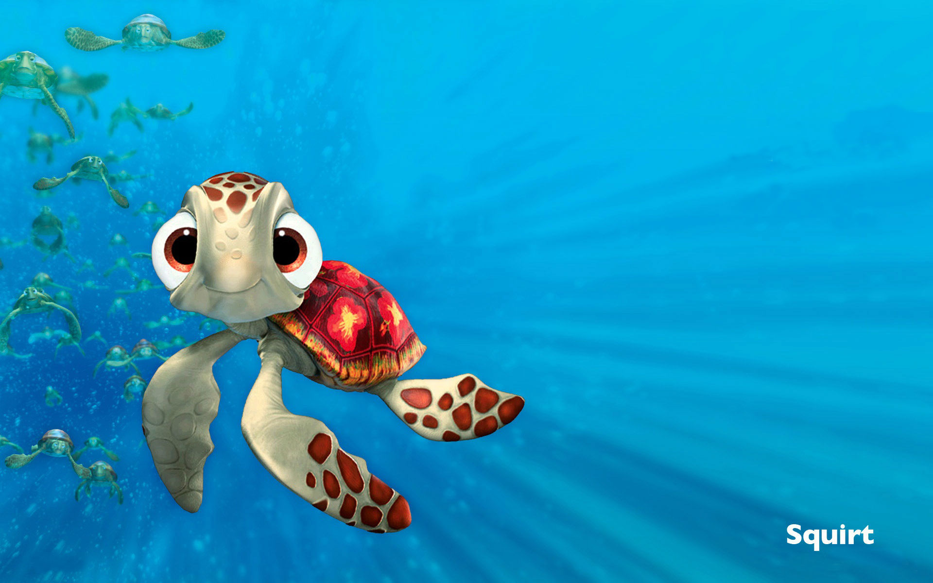 Finding Nemo Squirt - HD Wallpaper 