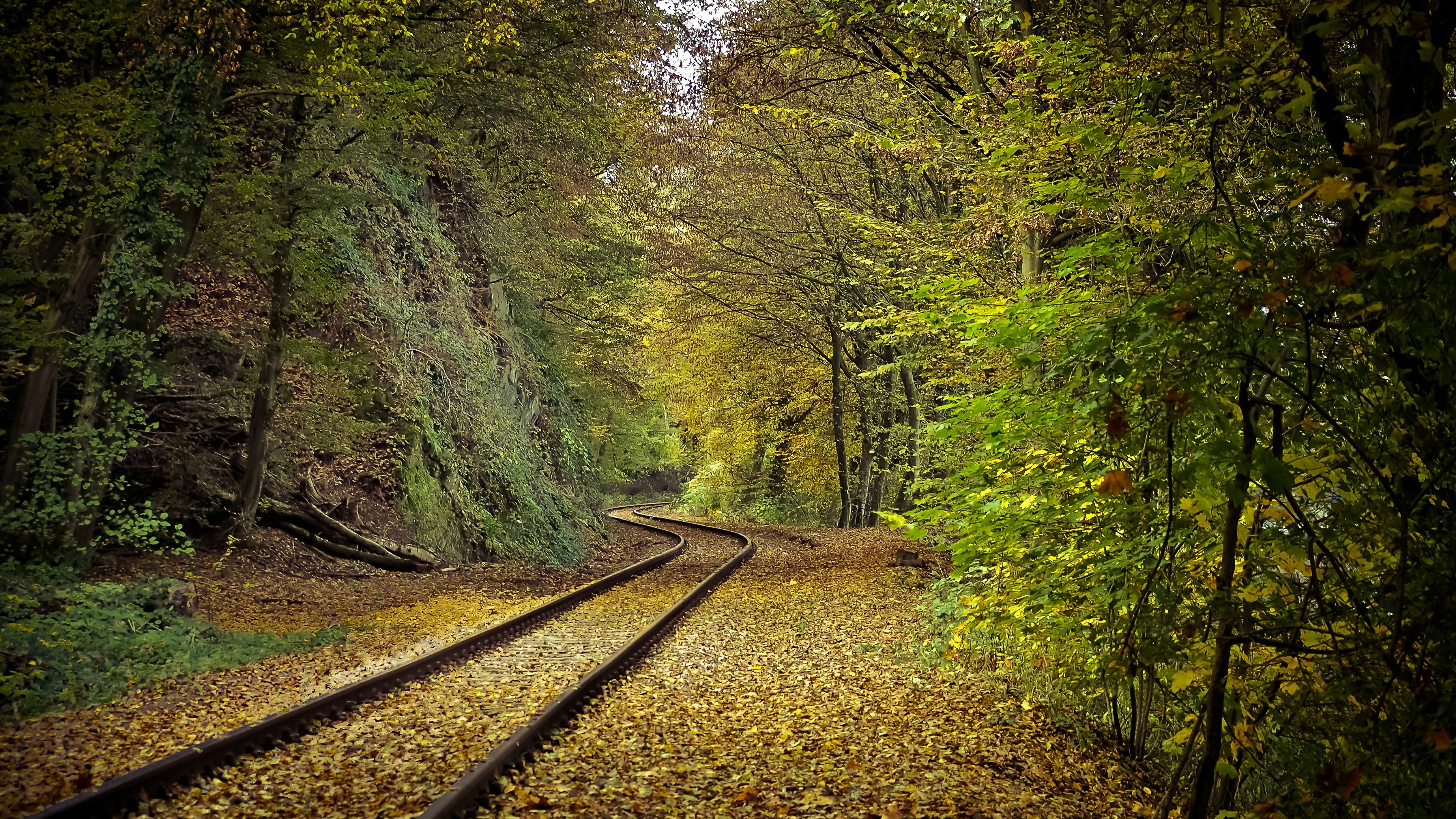 3840x2160, Forest Train Track Wallpaper - Forest With Train Tracks - HD Wallpaper 