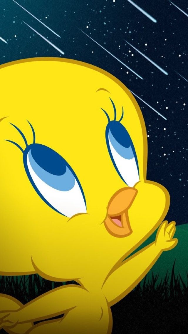 Tweety Wallpaper For Android 640x1136 Wallpaper Teahub Io