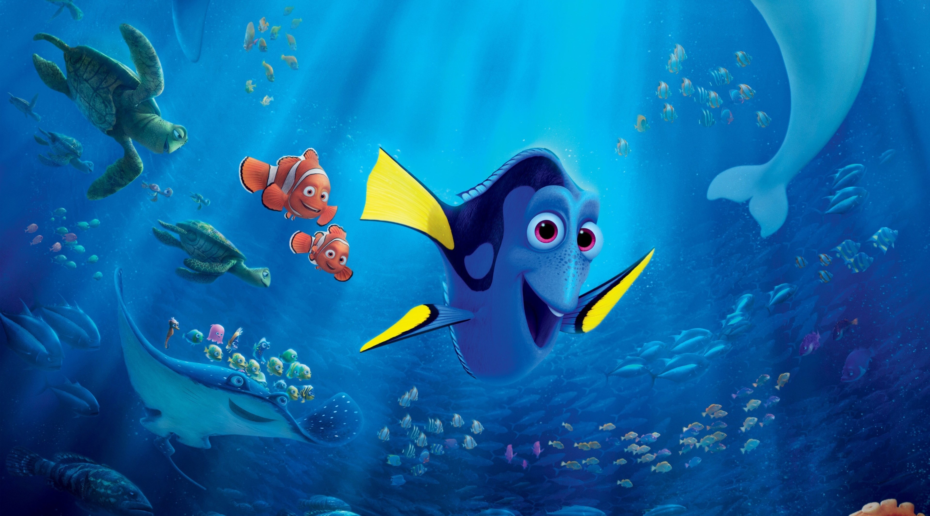 Animated Movie Finding Dory - HD Wallpaper 
