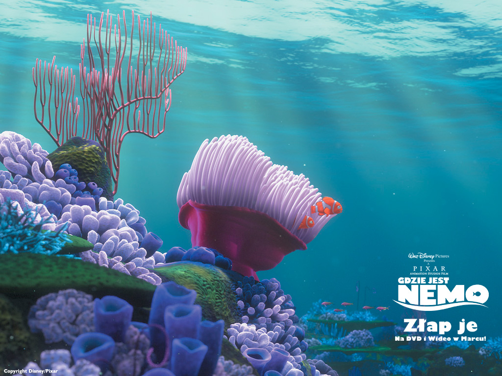 Finding Nemo Wallpapers - HD Wallpaper 