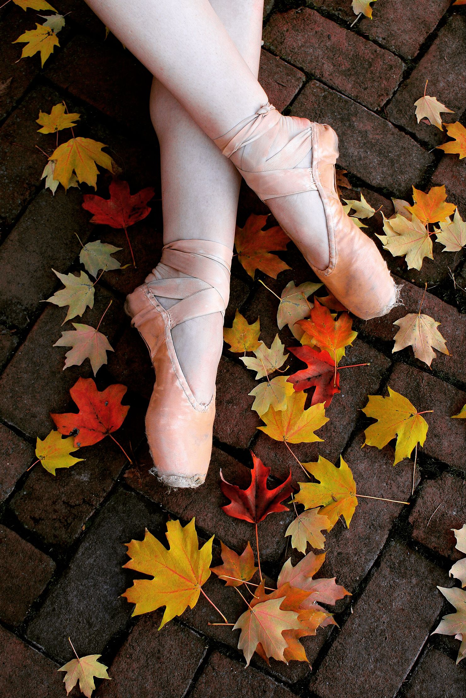 Pointe Shoes In Leaves - HD Wallpaper 