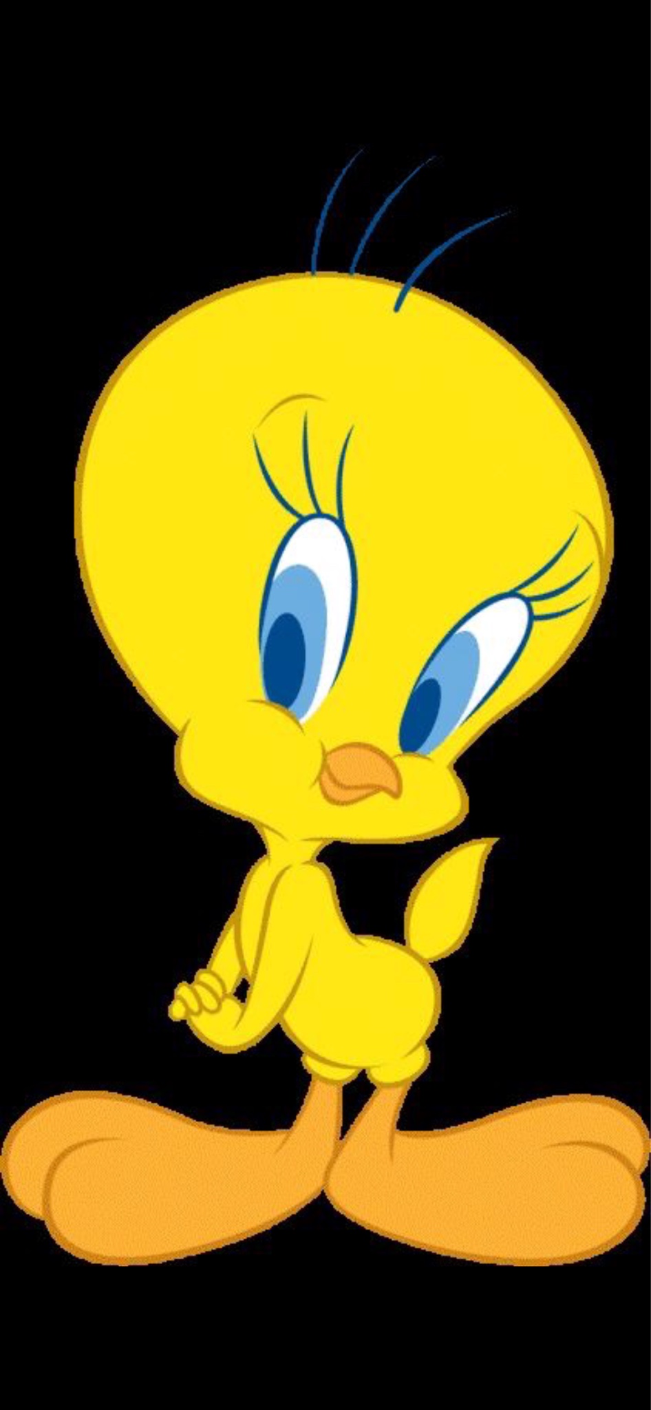 Tweety Bird On Black Background - HD Wallpaper 