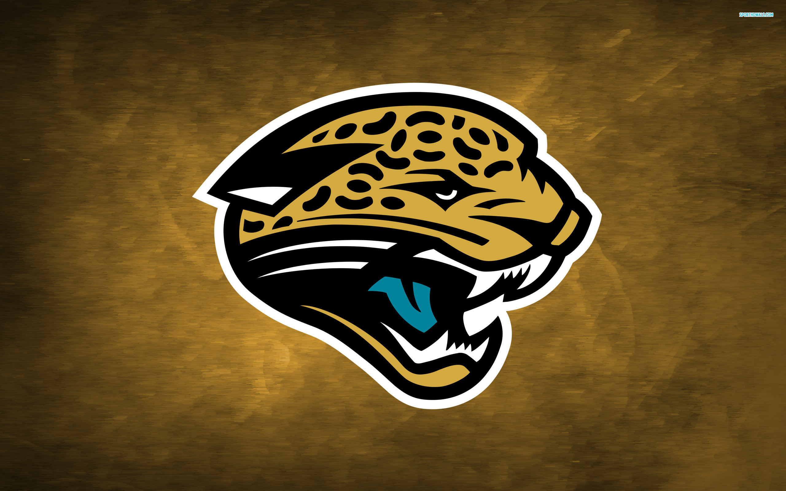 Jacksonville Jaguars - HD Wallpaper 