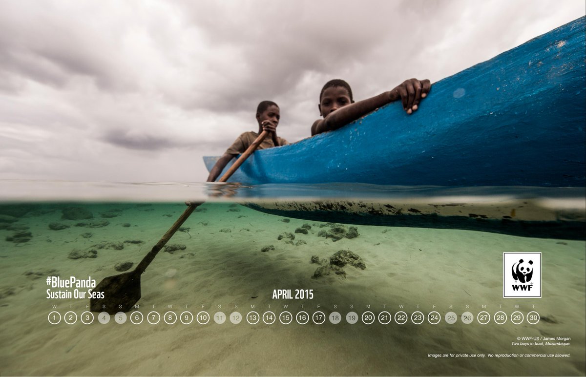 Wwf Calendar Wallpaper April 2018 - HD Wallpaper 