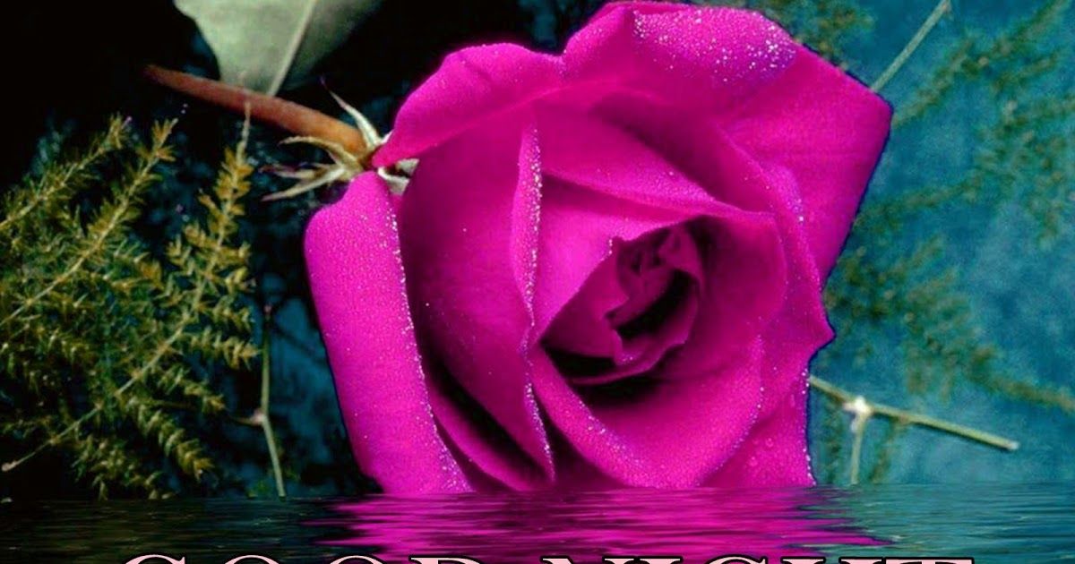 Blue And Red Colour Flowers - HD Wallpaper 