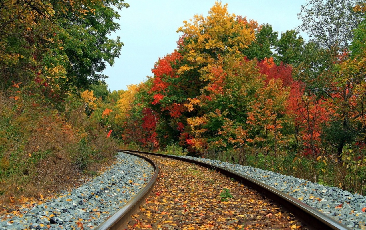 Autumn Forest & Train Tracks Wallpapers - Railway Track Hd Wallpaper Download - HD Wallpaper 